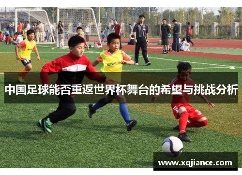 中国足球能否重返世界杯舞台的希望与挑战分析
