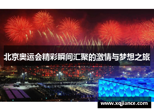 北京奥运会精彩瞬间汇聚的激情与梦想之旅